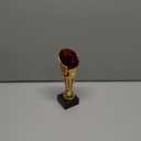 Express Medals Various Styles of Award Trophy Cups Trophies Prize Gift Champion Winner 1st Place (Design 2)
