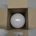 Philips Lamp 100/60/40 W