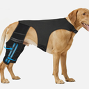 Marnonsis Dog Leg, Luxating Patella, Size L