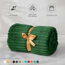 BEDELITE Fleece Throw Blanket for Couch 3D Ribbed Jacquard Soft and Warm Decorative Fuzzy Blanket Cozy, Fluffy, Plush Lightweight Green Throw Blankets for Bed, Sofa, 50x60 inches