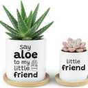 Say Aloe to My Little Friend Funny Succulents Plant Pots, Ceramic Cactus Planter Pot with Bamboo Tray for Indoor Outdoor, Aloe Pot for Plant Lover Friends Housewarming Gift, Set of 2 (No Plants)