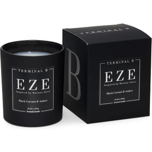 Luxury Candle | EZE - Black Currant & Amber | Inspired by Buenos Aires | Hand-Poured in Los Angeles | 10.58 oz, 60+ Hour Burn Time