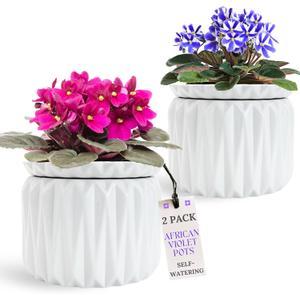 Thriving Thicket 6 Inch African Violet Pots Self Watering, Ceramic Planter with Water Reservoir and Fill Lines, 4 Inch Opening, Indoor Flower Pot, Holds 3 Weeks of Water (2 Pack White)