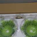 2-Lights Brass Vintage Pendant Light Fixtures, Modern Chandelier Pendant Light with Green Flower Glass Lmapshade, Adjustable Hanging Lights for Kitchen Island Dining Room Hallway, E26 (Green)