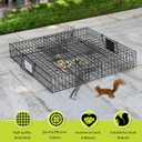 Squirrelinator Metal Wire & Heavy Duty, 2 Door Humane Live Squirrel Catch & Release Cage Trap, Holds up to 25 Squirrels, 1 Trap