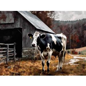 DIY 5D Diamond Art Kits Painting for Adults Old Barn Cow Pictures Print Black White Painting Farm Animal Countryside (1) for Home Wall Decor 15.7x19.8inches/40x50cm
