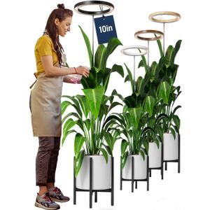 10" Grow Lights for Large Indoor Plants, Full Spectrum Indoor Plant Light for Indoor Growing with Timer,Height Adjustable Auto On/Off 3/9/12H, 9 Brightness,Led Tall Halo Grow Light for House Plants (Black)