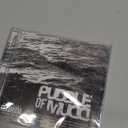 Icon: Puddle of Mudd Explicit Lyrics Audio CD