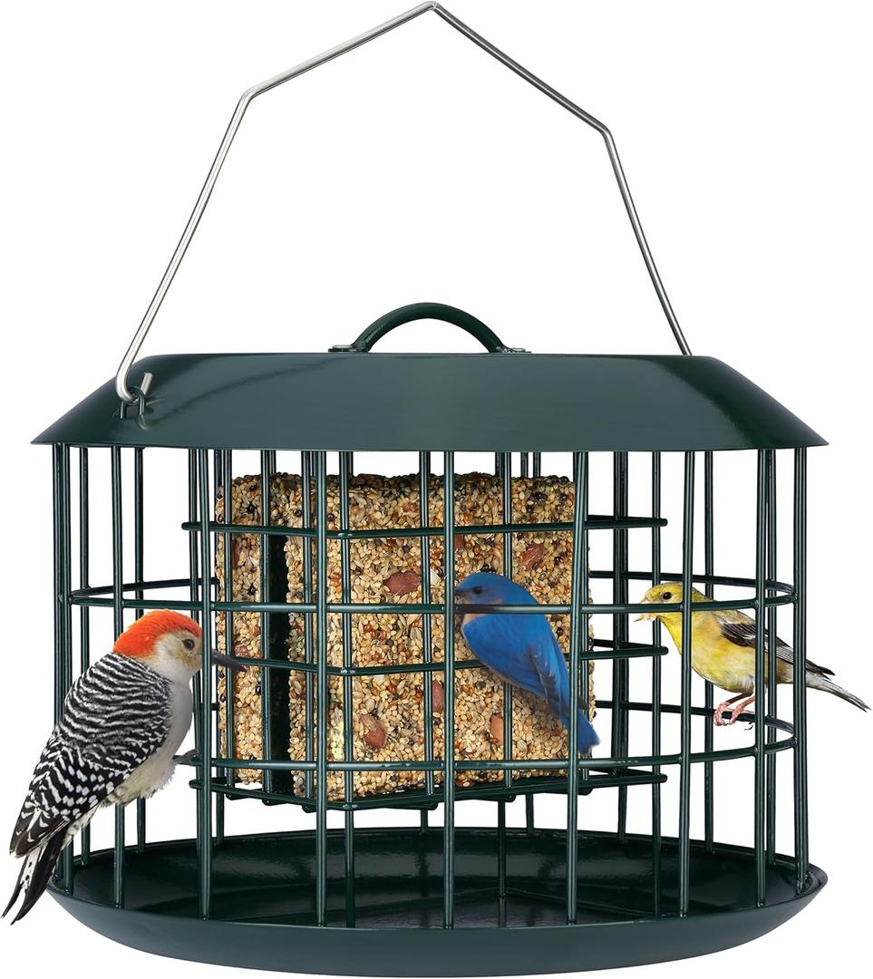 Kingsyard Squirrel Proof Suet Feeder, Cage Bird Feeders for Outdoors Hanging, All Metal, Double Suet Cake Capacity, Tray & Weatherproof, Green