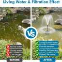Biling Pond Filter with Fountain Pump Kits, 660GPH Koi Pond Filter with 40W Pond Pumps for Outdoor Ponds, Pond Fountain Kit for Garden Pond, Fish Tank, Water Feature - Corded Electric