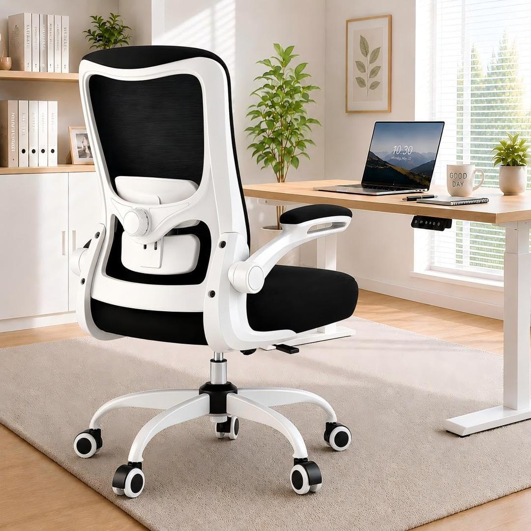 Ergonomic Office Chair for Lower Back Relief, 4-Way Lumbar, 330 LBS, Medium