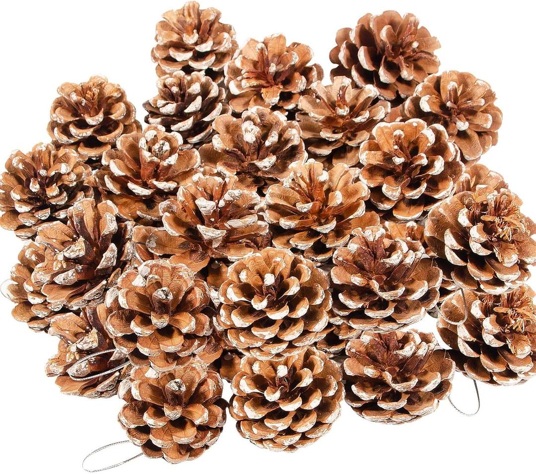 24PCS Christmas Natural Pine Cones,Rustic Pinecones with String for Crafts & Decorating Winter Xmax Holidays Vase and Table Bowl Fillers(Dia. 1.57-1.96 Inches) (White)