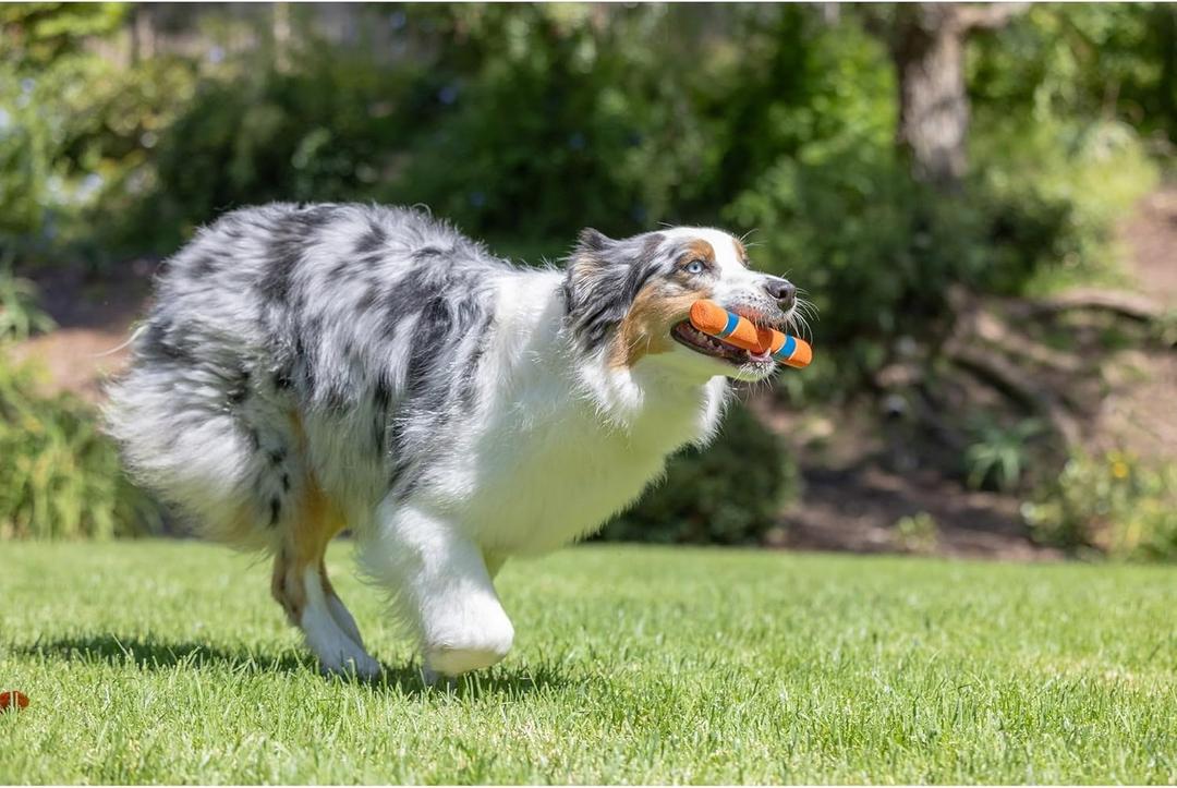 Ultra Fetch Stick Durable Rubber Medium Dog Toy - Performance Toys Are Designed With You And Your Dog In Mind. Try Our Full Range Of Interactive Indoor And Outdoor Dog Toys Including Tumblers, Flyers Ultra Fetch Stick Durable Rubber Medium Dog Toy - Performance Toys Are Designed With You And Your Dog In Mind. Try Our Full Range Of Interactive Indoor And Outdoor Dog Toys Including Tumblers, Flyers