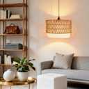 Plug in Hanging Lamp with RGB Smart Bulb Plug-in Cord Pendant Light with 15ft Cord Fixture Pendant Lights for Bedroom Kitchen Living Room Dining Room