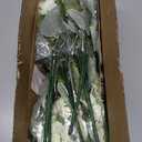 Waipfaru 12 Pcs Artificial Fake Flowers for Outdoors, Silk Geraniums White Flower, UV Resistant Outdoor Faux Plants for Garden Porch Planter Patio Balcony Yard Indoor Home Decoration (12, White)