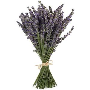 TooGet Natural Lavender Bundles, Freshly Harvested 200+ Stems Dried Lavender Bunch 16" - 18" Long, Decorative Flowers Bouquet for Home Decor, Crafts, Gift, Wedding or Any Occasion
