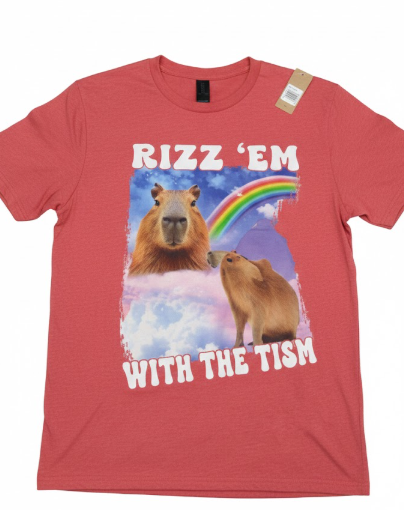 Rizz 'Em With The 'Tism Internet Meme TShirt, Small, Black