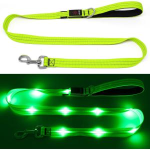 4 Ft Led Dog Leash, Rechargeable Light up Waterproof, Safety Glow in the Dark for Night Walking, Nylon Reflective with Padded Handle for Small Medium Large Dogs