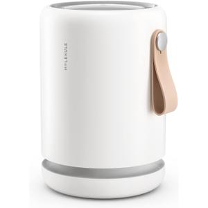 Molekule Air Purifier Mini+ - Purifies Rooms Up to 250 Sq Ft - Smart Purifier with High Pollutant Capture Rate - Air Quality Monitoring Capabilities - White