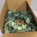 24 Inch Spring Wreath for Front Door, Spring Eucalyptus Wreath for Grapevine Farmhouse with Silk Printing Dollar Leaves Wreaths for Festival Celebration Front Door Wall Window Home Décor