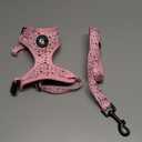 Dog Harness and Leash Set, Adjustable Dog Harness, Dog Leash, No Pull No Choke Puppy Harnesses for Walking Training , XS(Chest 11-13", Neck 9-11"))