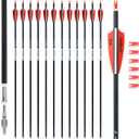 31Inch Carbon Arrows for Target Practice Hunting Arrow with Removable Tips for Compound & Recurve Bow(Pack of 12)