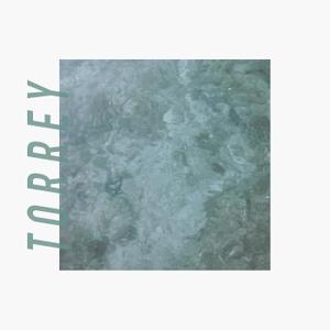 Torrey, Vinyl