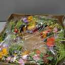 24 Inch Spring Branch Wreath with Mixed Morning Glory Flowers Trumpet Blossom Floral Wreath Silk Morning Glory Flower Hanging Wreath with Vine for Front Door Wedding Window Wall Summer Home Decoration