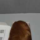 morvally Light Brown Women Retro Beehive Synthetic Hair Wigs for Ginger Cosplay Halloween Use