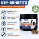 Hip & Joint Supplement for Dogs - Advanced Glucosamine MSM Chondroitin with Turmeric - 10-in-1 Veterinarian Formulated Joint Pain Relief for Large Breed Senior Dogs - 60 Tablets