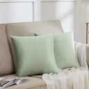 GIGIZAZA Decorative Throw Pillow Covers 18 x 18, Set of 2 Green Soft Pillow Covers Velvet,Christmas Decor Square Cushion Covers