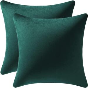 DEZENE Decorative Pillow Covers 16x16 Green: 2 Pack Cozy Soft Velvet Square Throw Pillow Cases for Farmhouse Home Decor