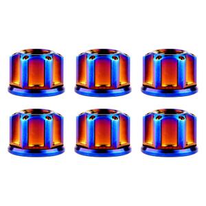 Titanium M6 M8 M10 M12 M14 M16 Flange Bolt Nut Bicycle Motorcycle Rear Axle Car Modification Accessories Pack of 6 (M10 Pitch 1.5mm, Fire Blue)