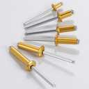 2 x Wensilon (200 Pcs) 3/16"x5/8" Golden Aluminum blind pro Rivets,Golden Aluminum Grip and Steel Mandrel