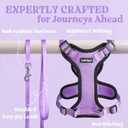 rabbitgoo Cat Harness and Leash for Walking, Escape Proof Soft Adjustable Vest Harnesses for Cats, Easy Control Breathable Reflective Strips Jacket, Light Purple, M