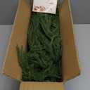 9FT Christmas Garland Norfolk Pine Garland Real Touch Artificial Greenery Garland for Mantle Fireplace Table Indoor Outdoor Holiday Decortions (Dark Green)