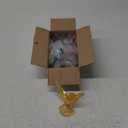 6 Pcs in 6 Colors Set Shiny Iridescent Hummingbird Hanging Ornaments with Suction Cup, Clear Acrylic Crystal Art Hummingbird Figurines Pendants Decorations for Christmas Xmas Tree.