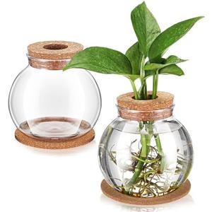 Baderke 2 Packs Propagation Vases for Plants Plastic Plant Propagation Station with Hole Lid and Cork Coasters Plant Growing in Water Hydroponic Home Office Table Decoration (Fish Bowl Style)