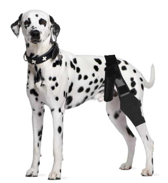 Dog Knee Brace for Hind Leg Breathable Dog Leg Braces Comfortable Soft Dog ACL Brace Adjustable Pet Back Leg Support Brace for Supporting Dogs with Torn ACL Muscle Hind Leg Joint Discomfort, Large