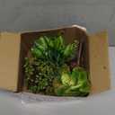 SEEKO Succulents Plants Artificial (14 Pack) - Realistic Unpotted Fake Succulents - Faux Plants Decor for DIY