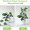 Xeeol Plant Trellis for Potted Plants 4 pieces, Larger 23in Garden Trellis for Climbing Plants Indoor Outdoor, Rustproof House Plant Support Stakes for Pothos Hoya Ivy Flower