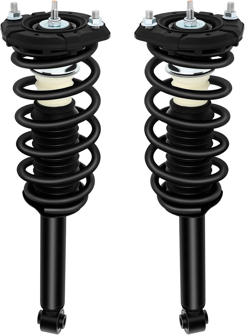 ECCPP Complete Struts Spring Assembly Rear Struts Shock Absorber Fit for 2000 2001 for Infiniti I30,2002 2003 2004 for Infiniti I35,2000 2002 2003 for Nissan Maxima