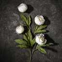 Waipfaru 6 Pcs Faux Peonies Artificial Flowers for Vase, 27" Fake Silk Peonies Flowers for Wedding, Vase Filler White Flowers for DIY Bouquets Centerpieces Bridal Shower Office Decor