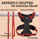 rabbitgoo Cat Harness and Leash for Walking, Escape Proof Soft Adjustable Vest Harnesses for Cats, Easy Control Breathable Reflective Strips Jacket, Black & Red, Medium