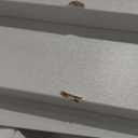 OLIXIS 7 Drawer Mobile File Cabinet Under Desk Storage Organization with Wheels Vertical Filing Chest Rolling Wood Small Desk Printer Stand for Home Office, 15.75"D x 18.74"W x 34.25"H, White