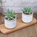 Der Rose Set of 2 Succulents Plants Artificial Fake Cactus Plants for Living Room Bathroom Bedroom Aesthetic Home Shelf Decor