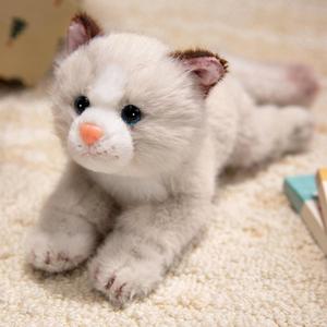 PEACH CAT Cat Stuffed Animal 9.8" Realistic Kitten Plushies Soft Plush Toys Gifts for Kids Grey and White