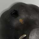 Cast Iron Garlic Roaster with Handle, Smoker Roaster, Garlic Cooker, Garlic Baker, Garlic Roasting Pot, Potato Baker, Mini Cocotte, Used in the Kitchen Oven or Outdoors on a BBQ Grill Stove (5.3")