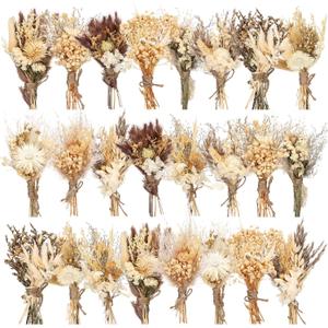 Layhit 24 Pcs Boho Dried Flower Bouquet Mini Wedding Handmade Dry Flowers Decor for Vase Crafts DIY Photo Boutonniere for Men Floral Plant for Bridesmaid Gift Birthday Decor(Stylish)