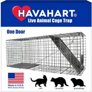 HAVAHART 1079SR Large 1-Door Humane Catch and Release Live Animal Trap Cage - Live Raccoon Trap, for Bobcats, Beavers, Dogs, & More